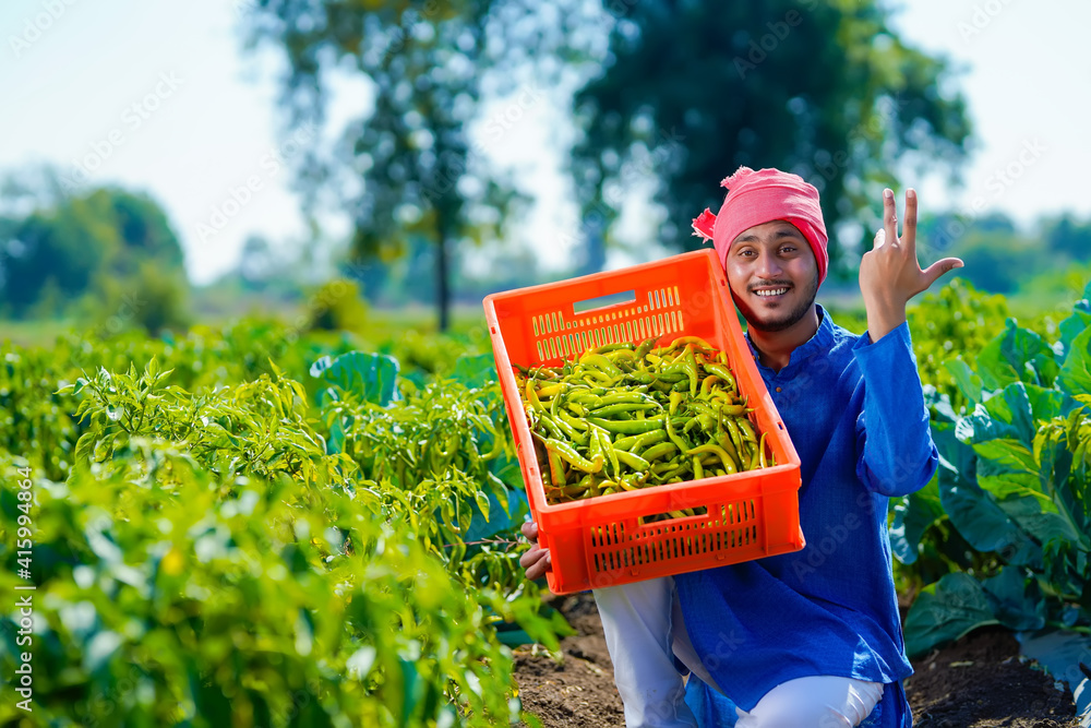 Fresh Vegetable